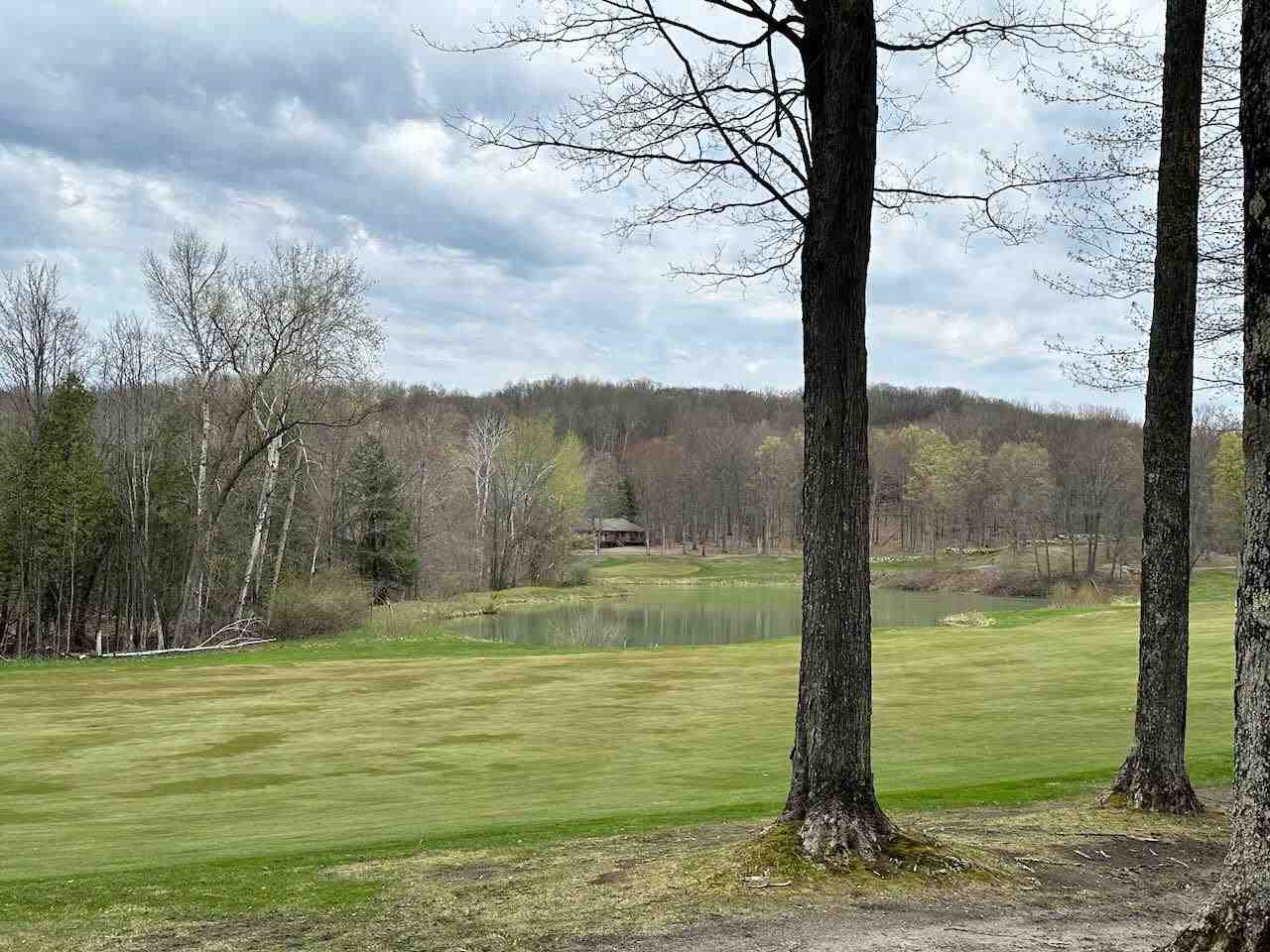 Unit 19 Forest Trail Bellaire MI 49615