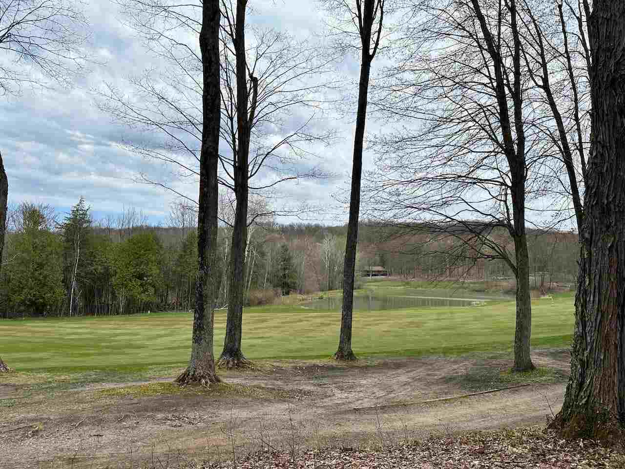 Unit 19 Forest Trail Bellaire MI 49615