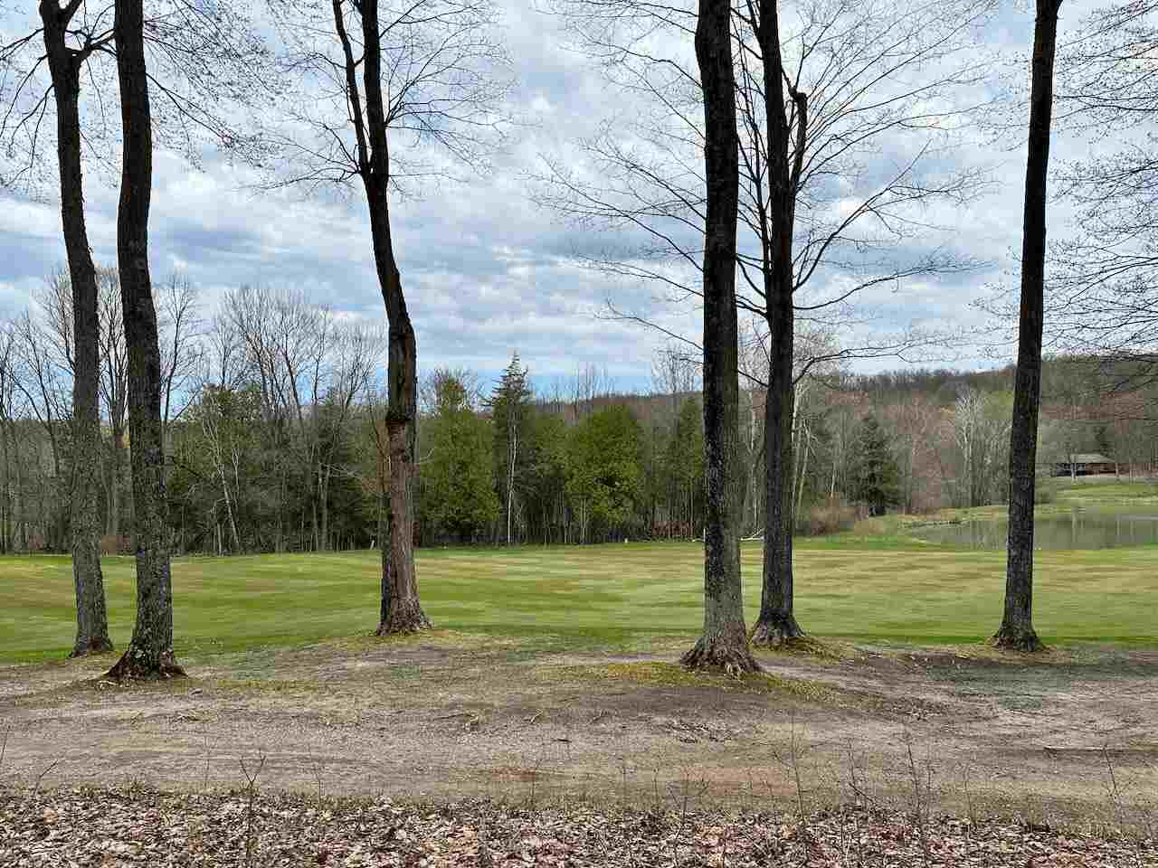 Unit 19 Forest Trail Bellaire MI 49615