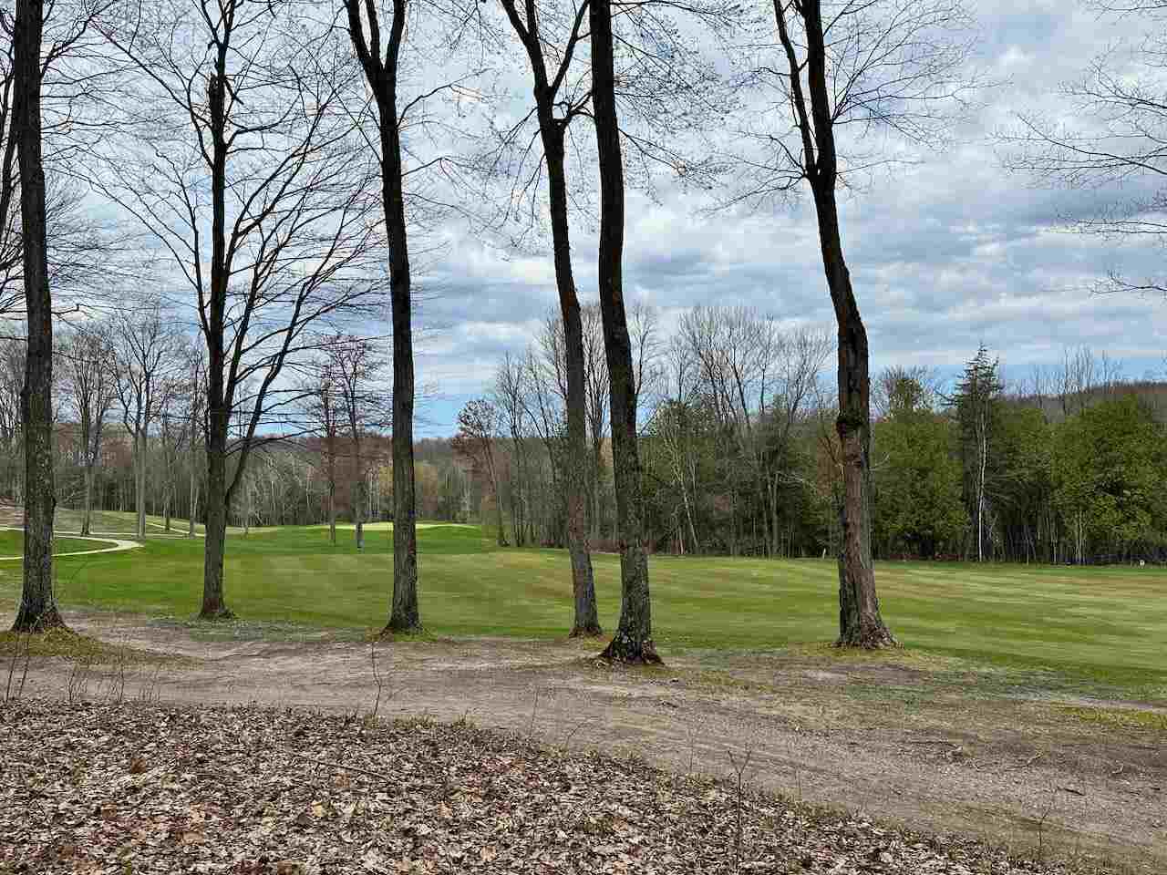 Unit 19 Forest Trail Bellaire MI 49615