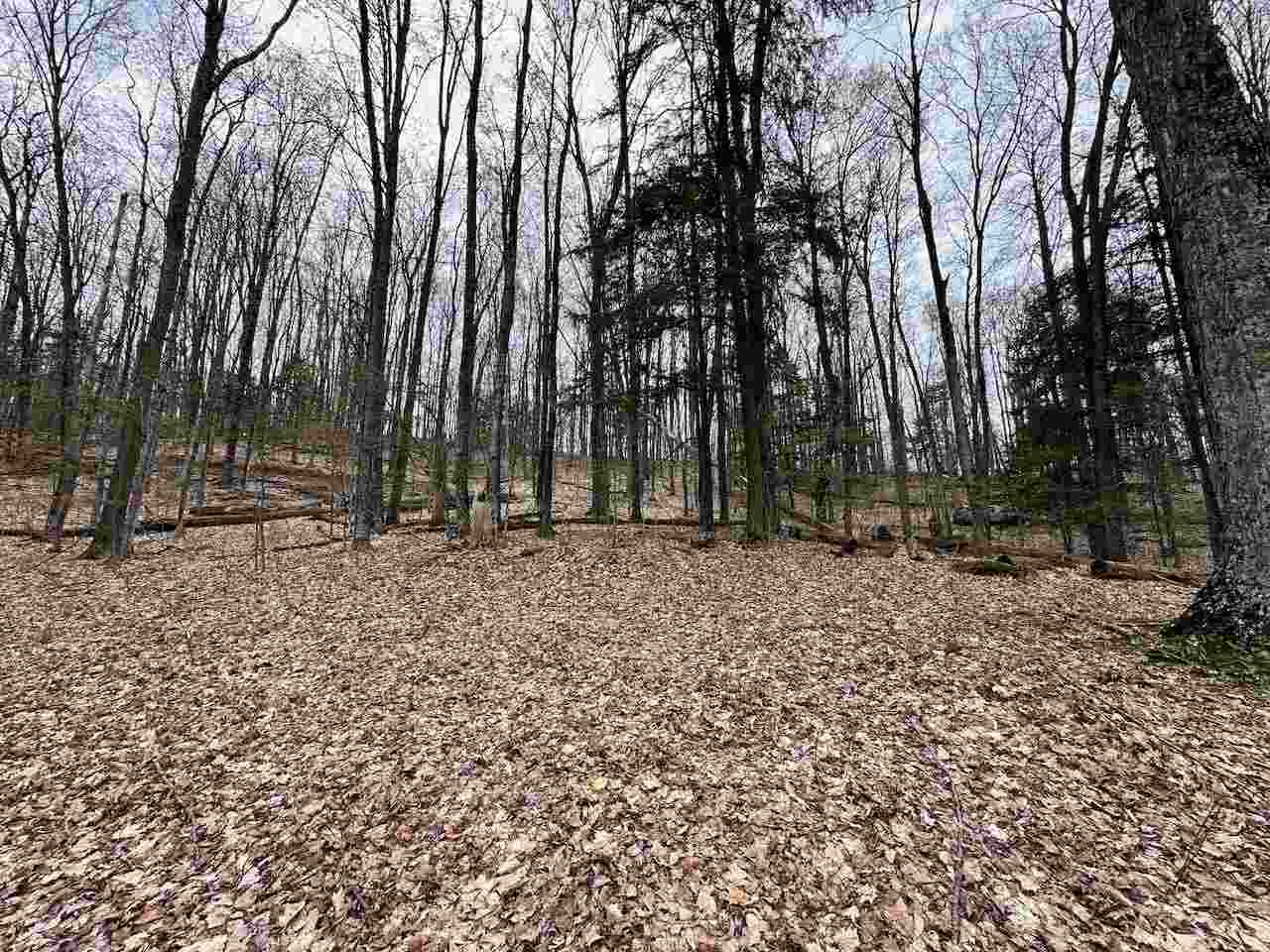 Unit 19 Forest Trail Bellaire MI 49615