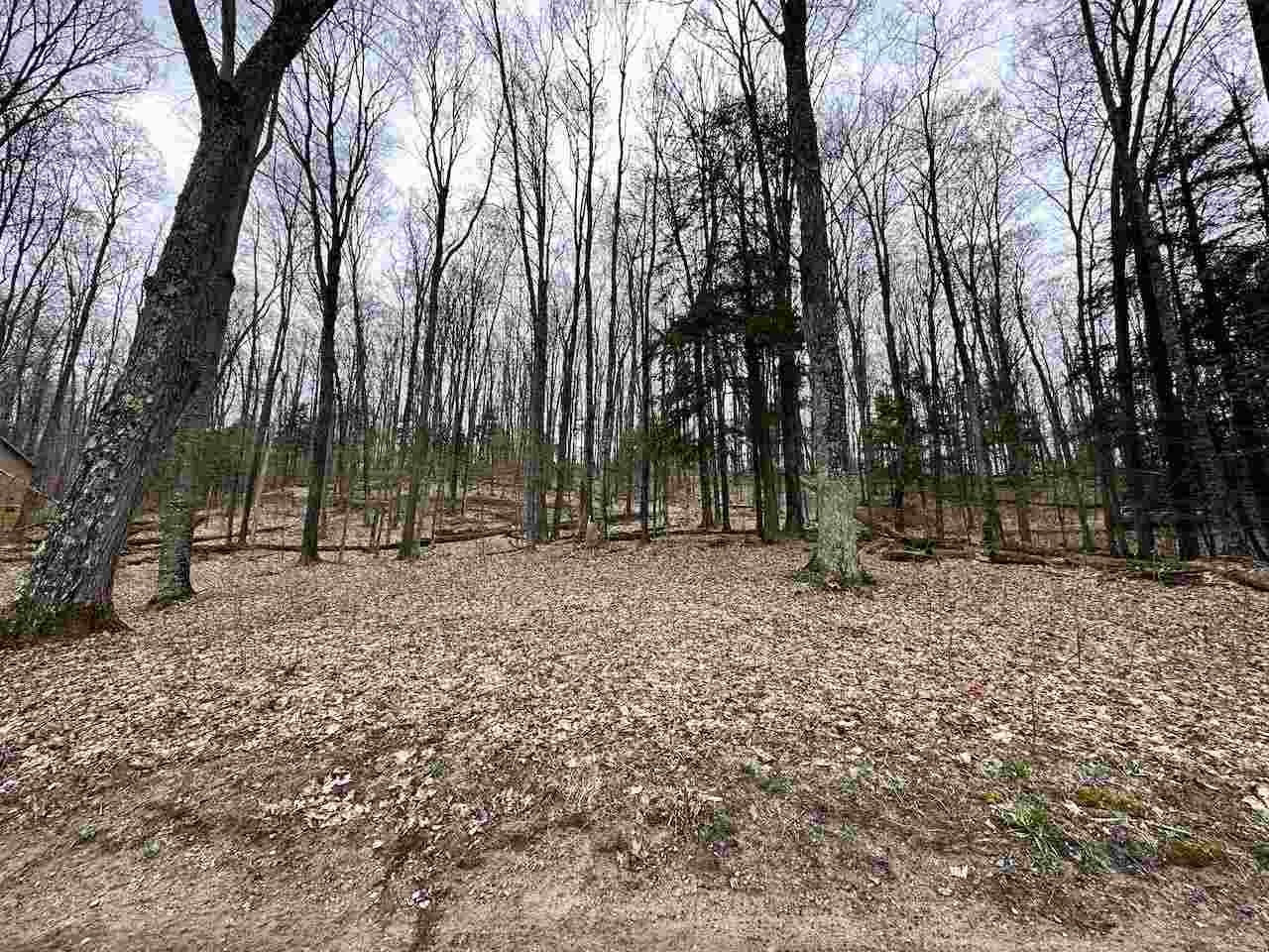 Unit 19 Forest Trail Bellaire MI 49615