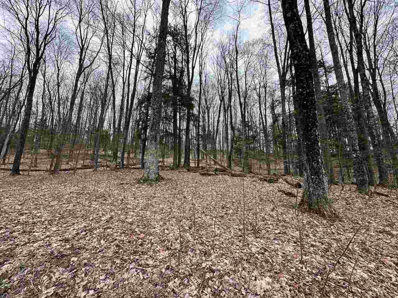 Unit 19 Forest Trail Bellaire MI 49615