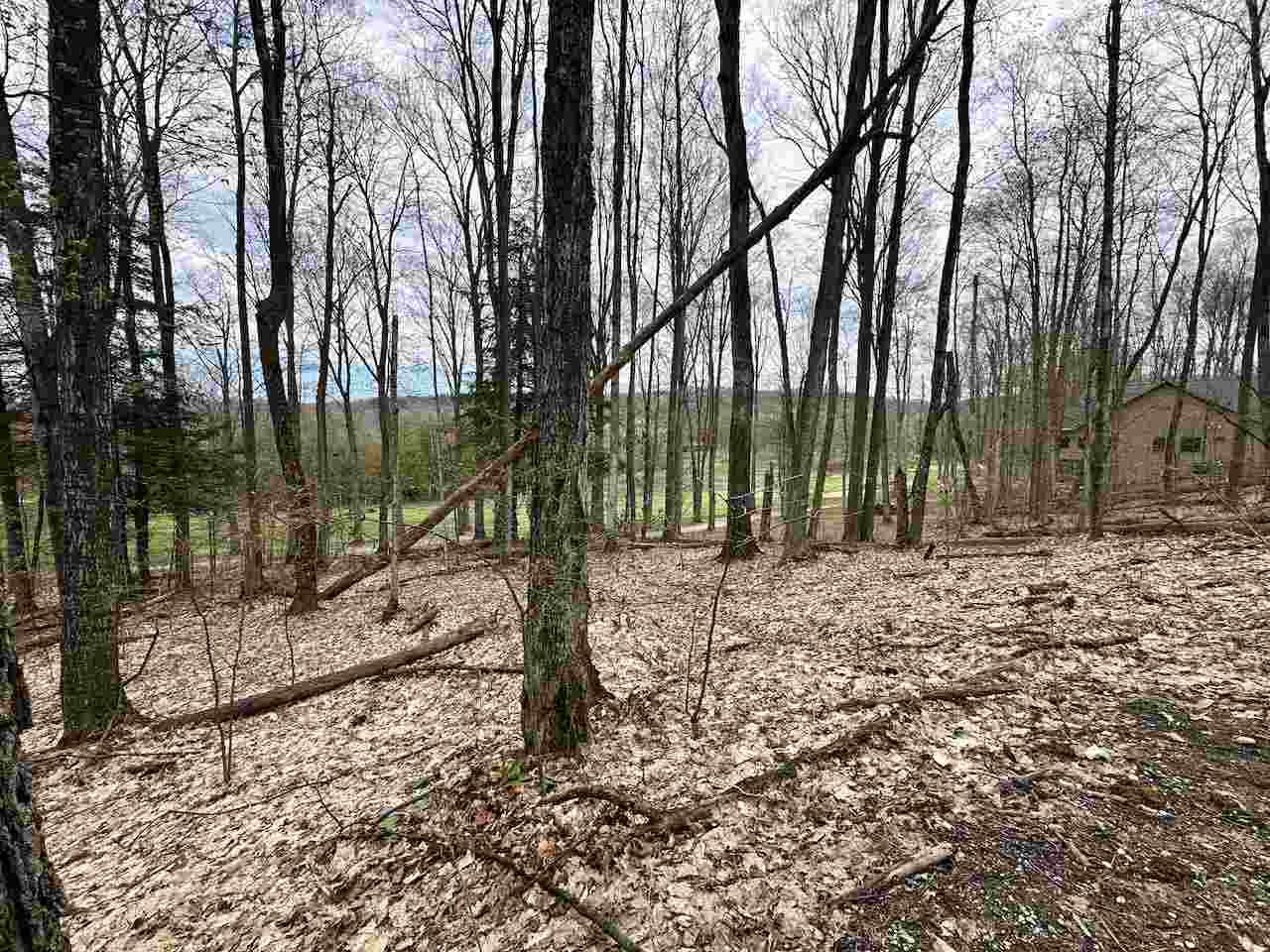 Unit 19 Forest Trail Bellaire MI 49615