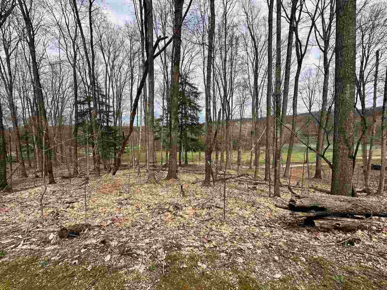 Unit 19 Forest Trail Bellaire MI 49615