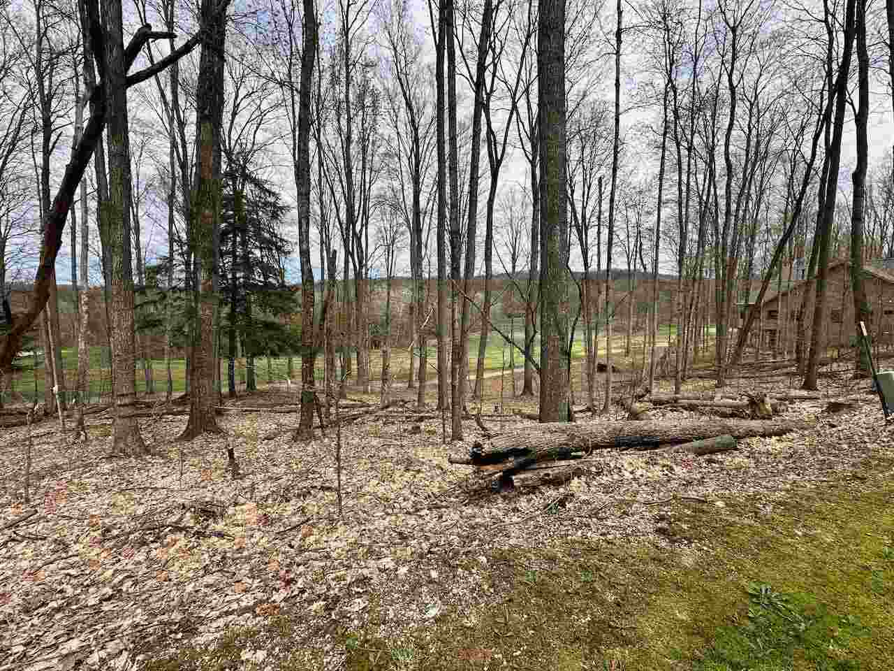 Unit 19 Forest Trail Bellaire MI 49615