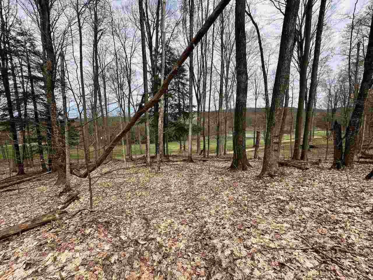 Unit 19 Forest Trail Bellaire MI 49615