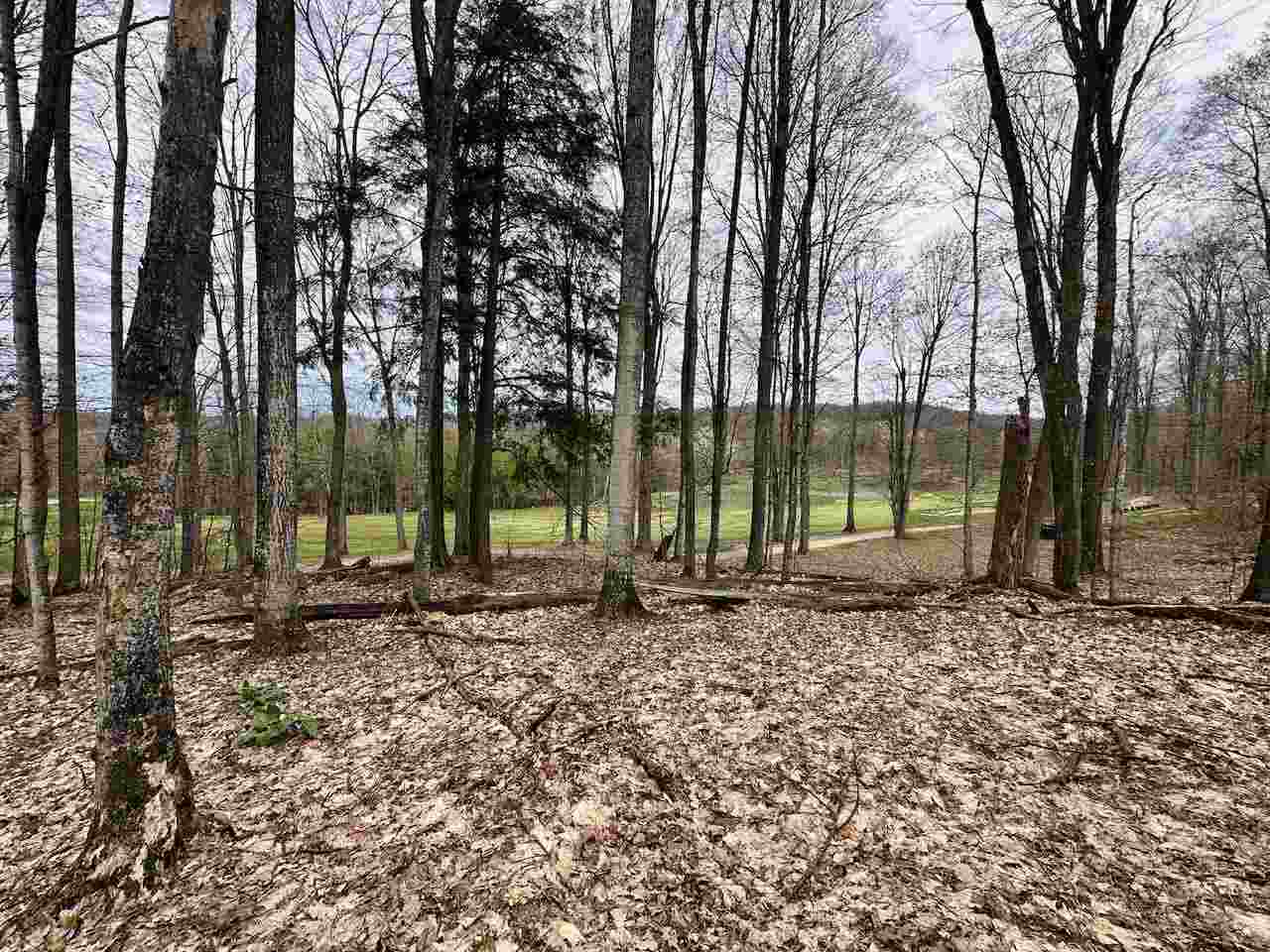 Unit 19 Forest Trail Bellaire MI 49615