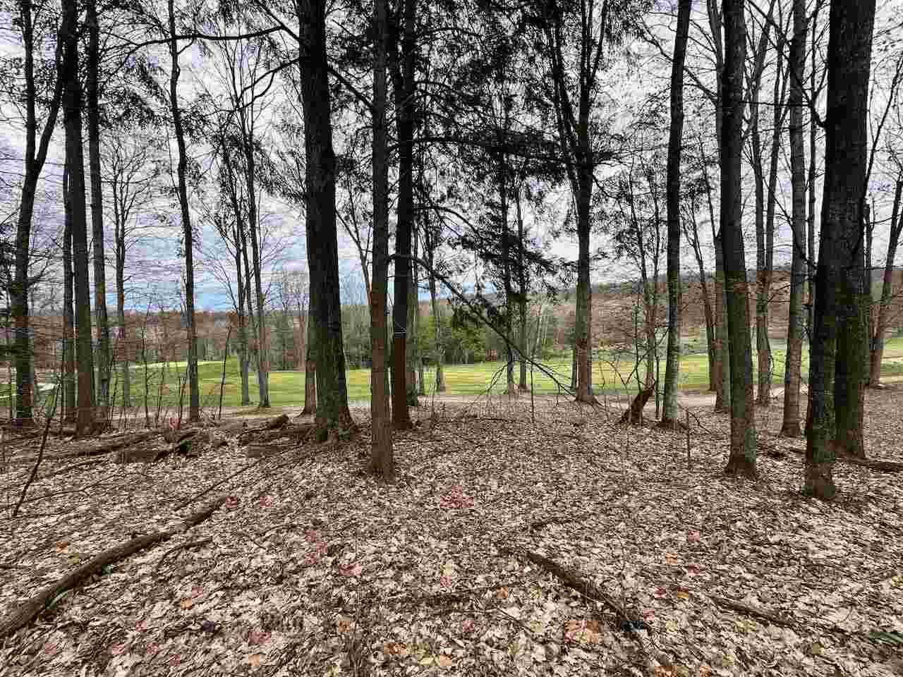 Unit 19 Forest Trail Bellaire MI 49615