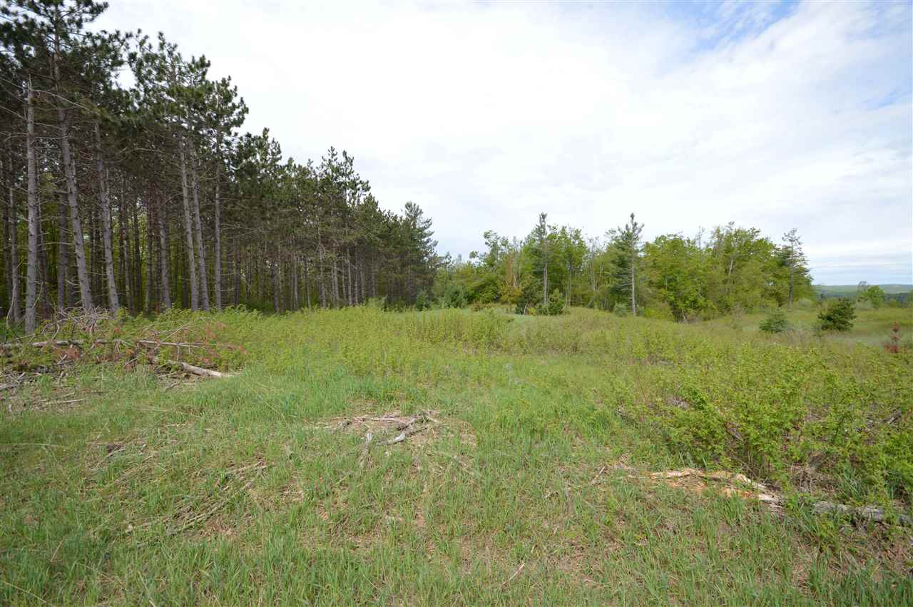 4372 Camp Daggett Road Boyne City MI 49712
