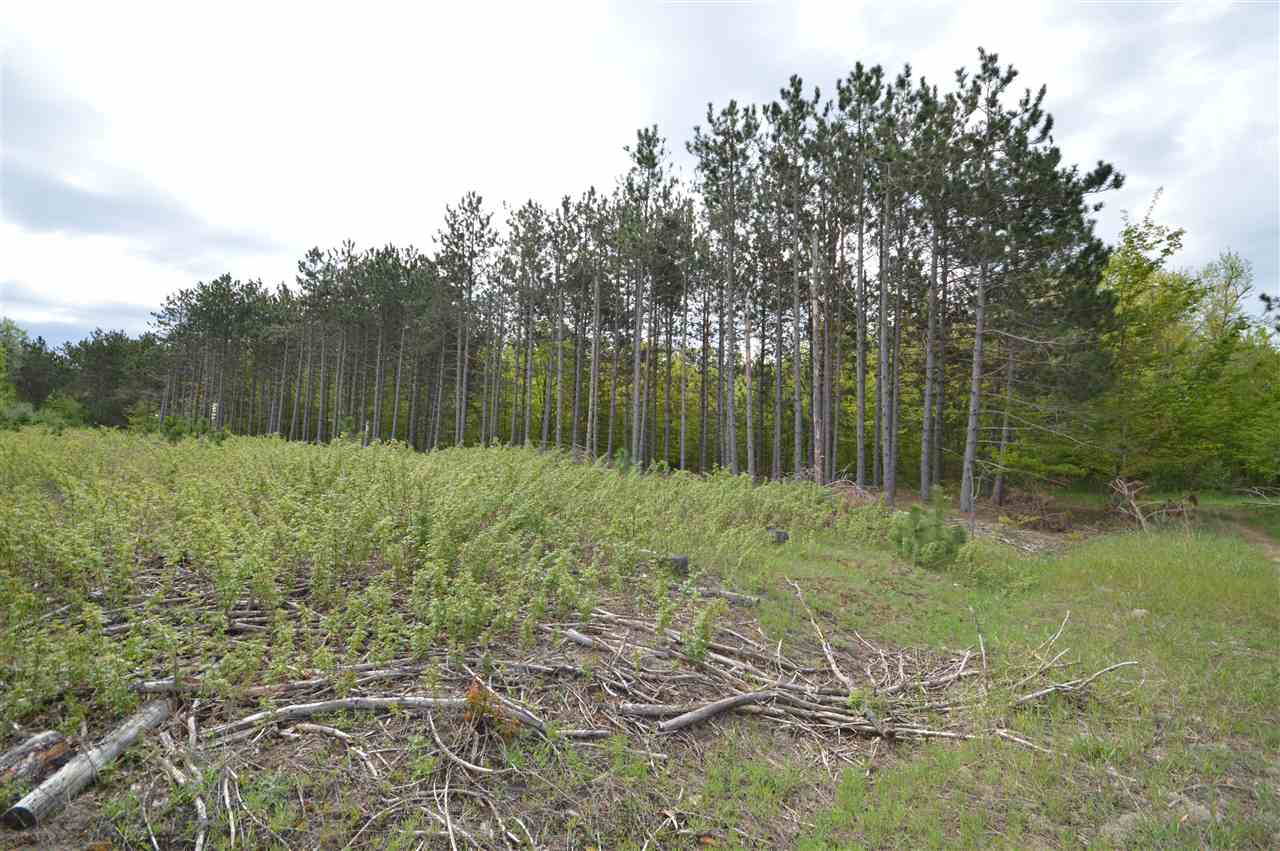4372 Camp Daggett Road Boyne City MI 49712