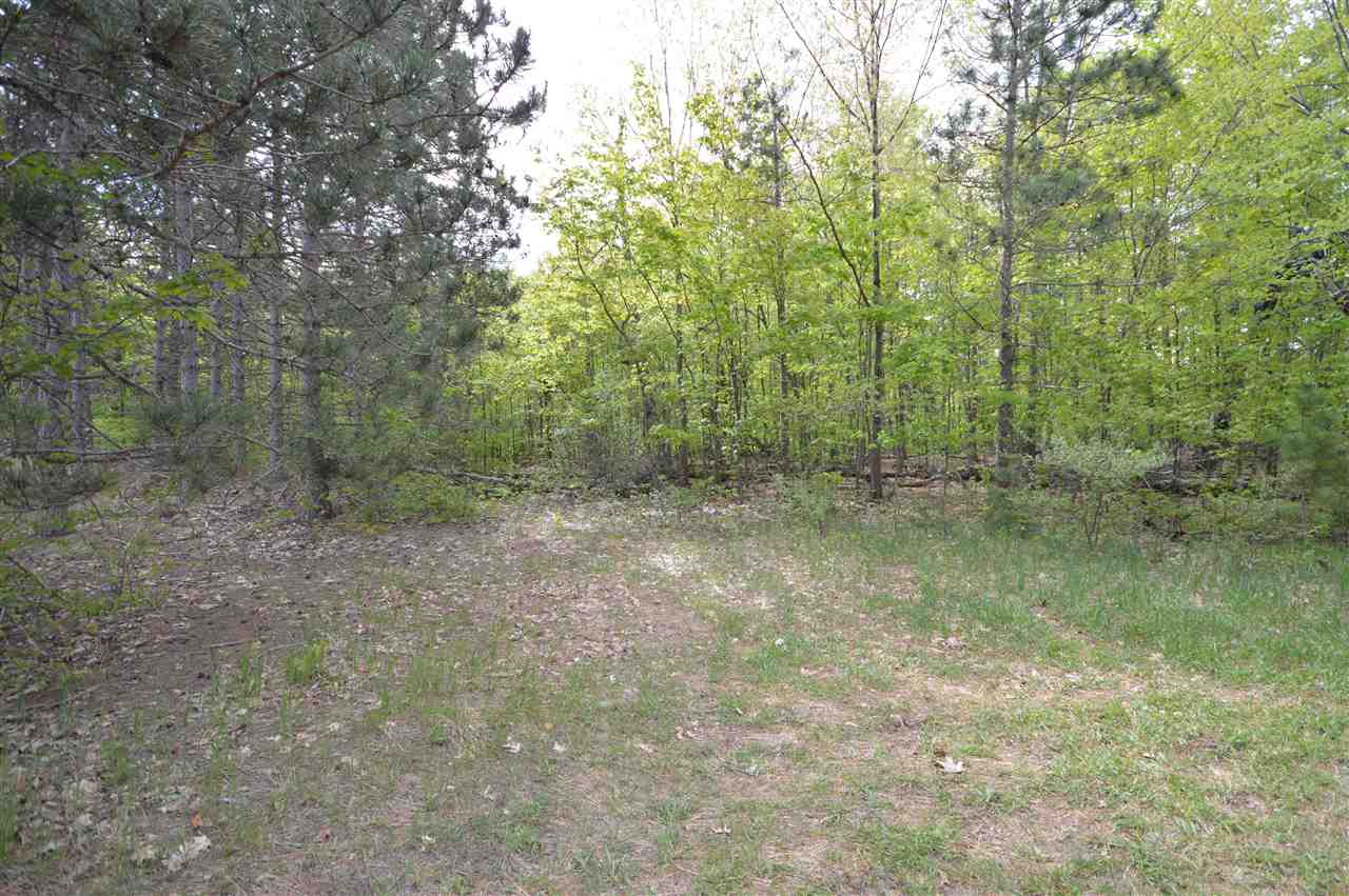 4372 Camp Daggett Road Boyne City MI 49712