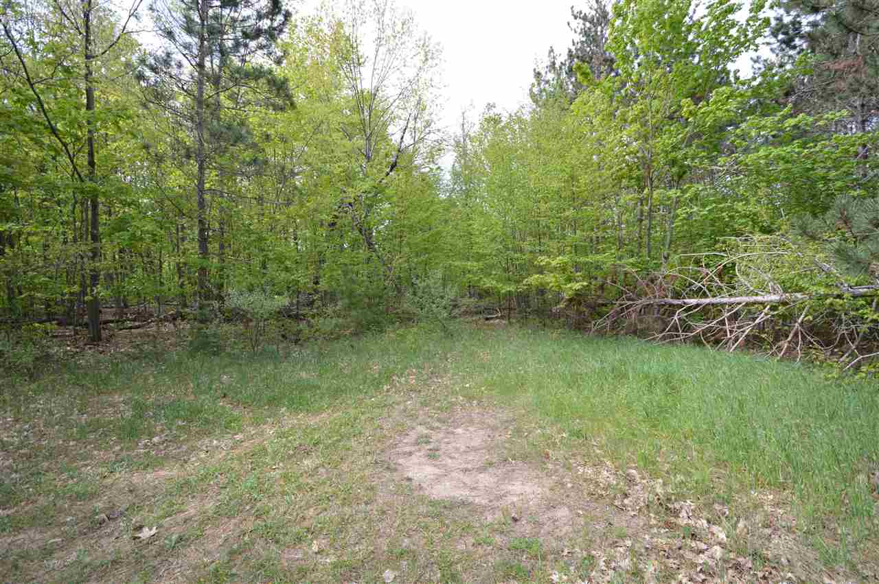 4372 Camp Daggett Road Boyne City MI 49712