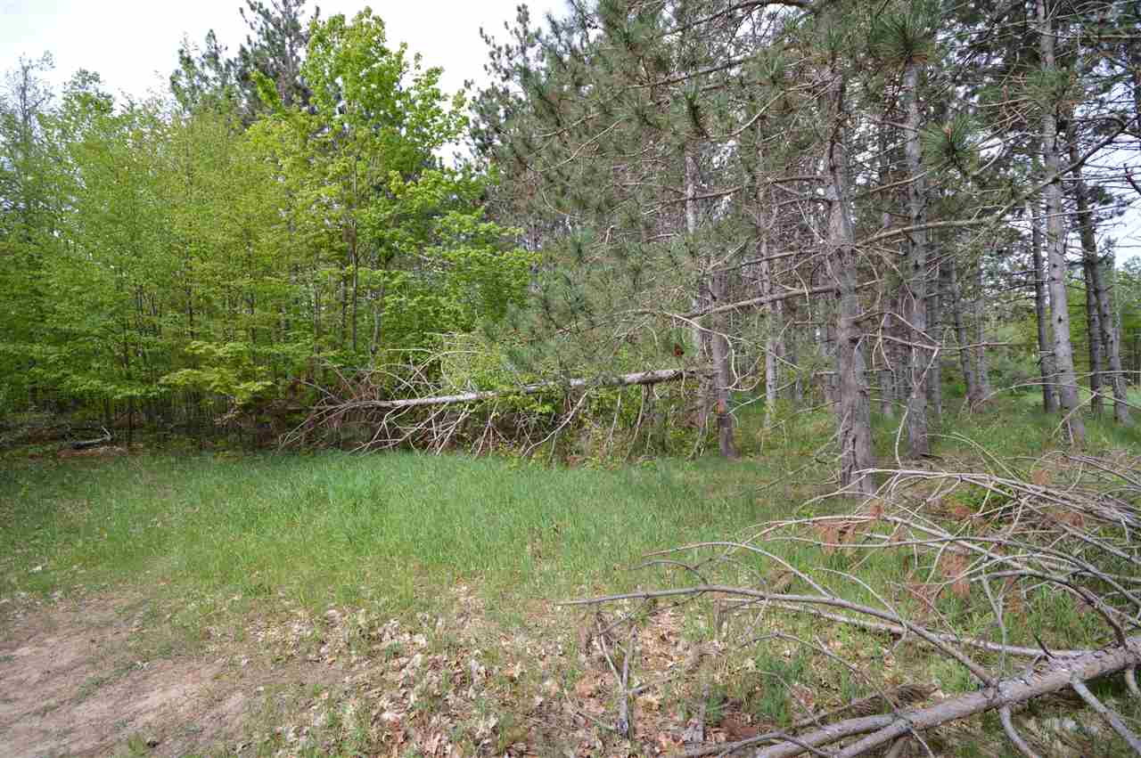 4372 Camp Daggett Road Boyne City MI 49712