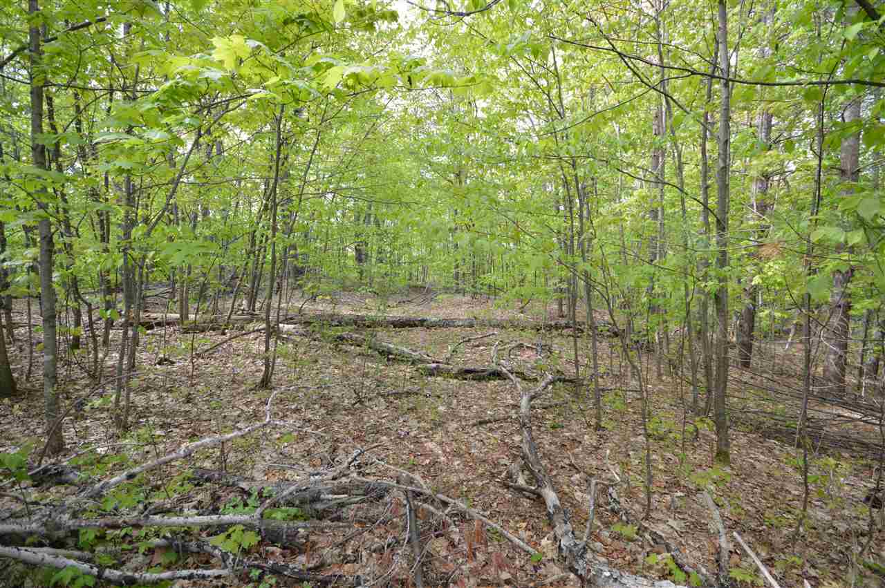 4372 Camp Daggett Road Boyne City MI 49712