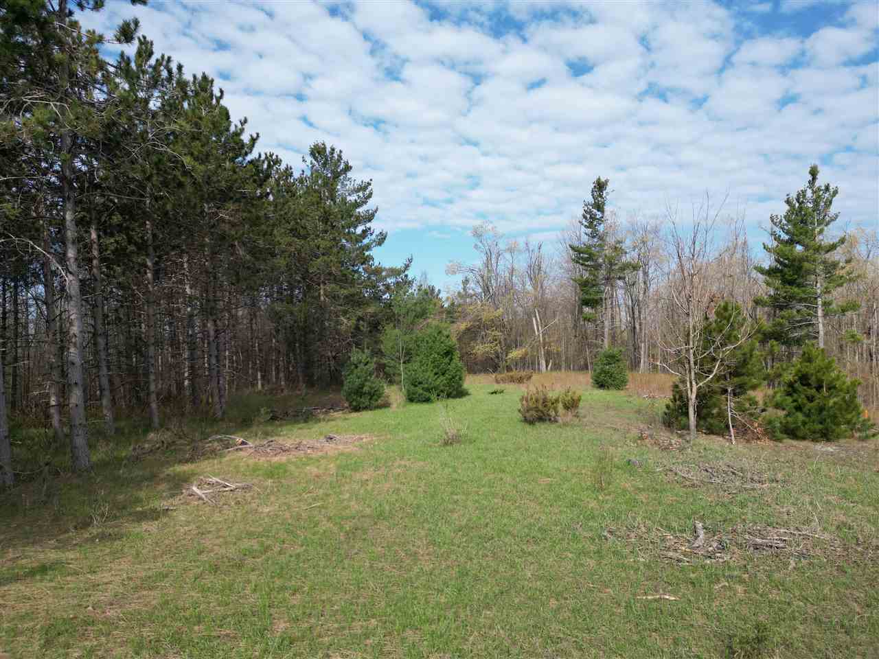 4372 Camp Daggett Road Boyne City MI 49712