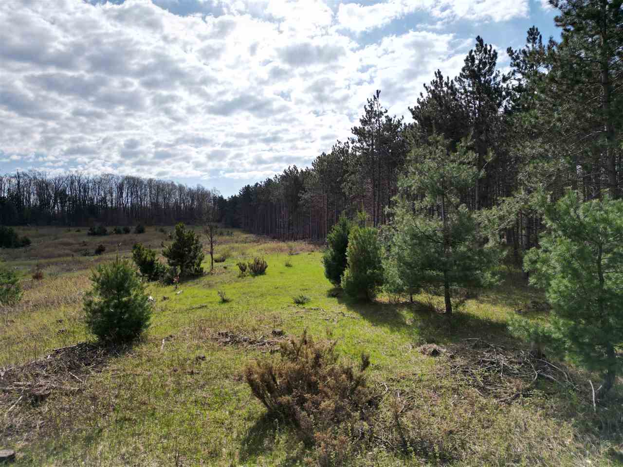 4372 Camp Daggett Road Boyne City MI 49712