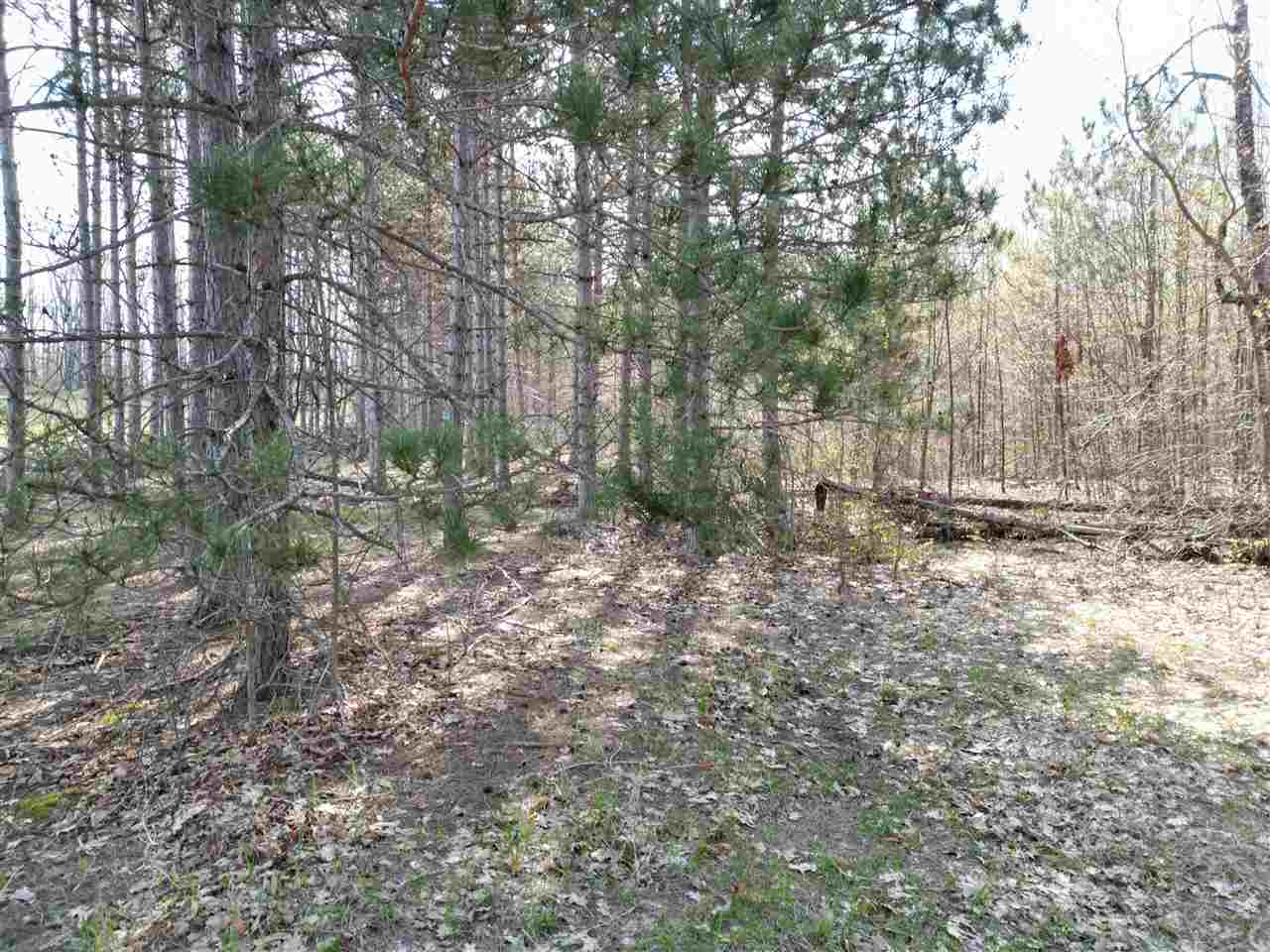 4372 Camp Daggett Road Boyne City MI 49712