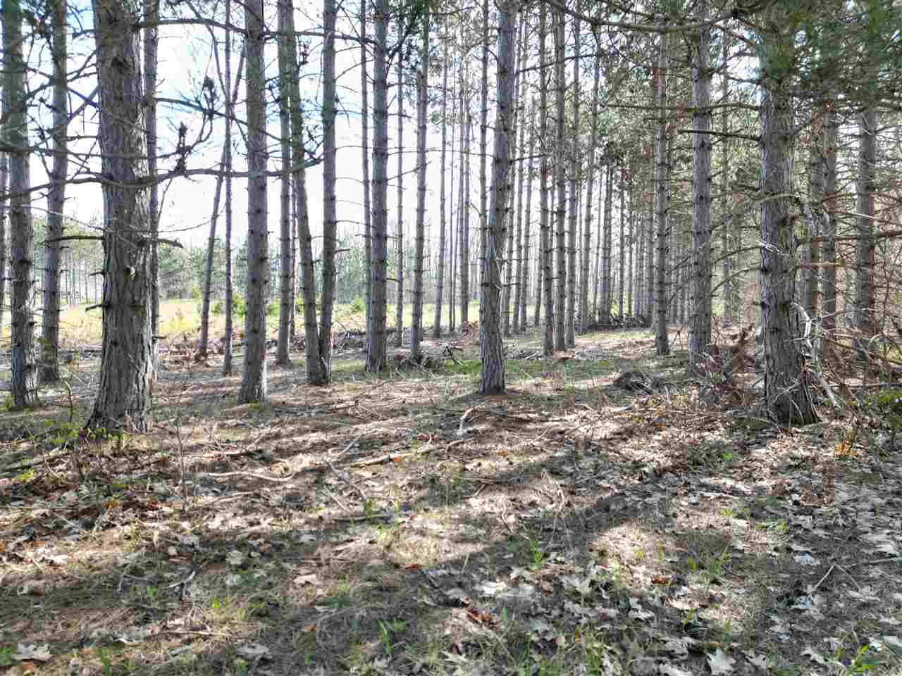 4372 Camp Daggett Road Boyne City MI 49712