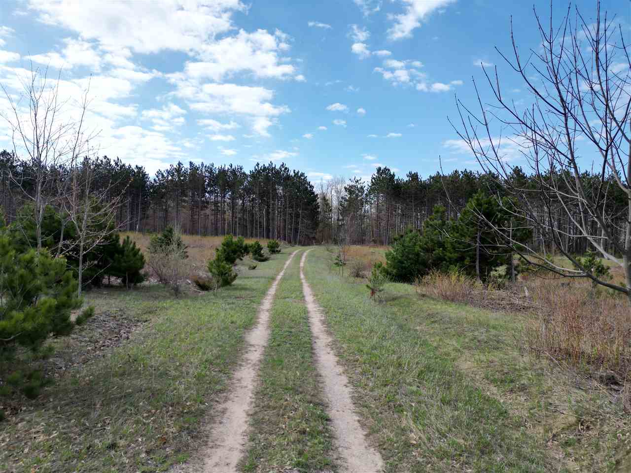 4372 Camp Daggett Road Boyne City MI 49712