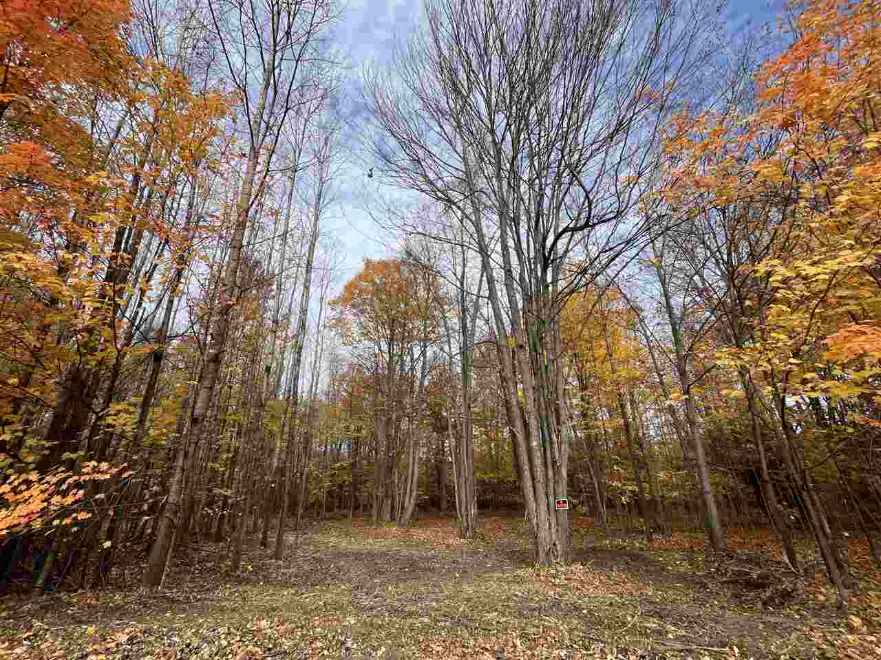 6170 Lambert Drive Alanson MI 49706