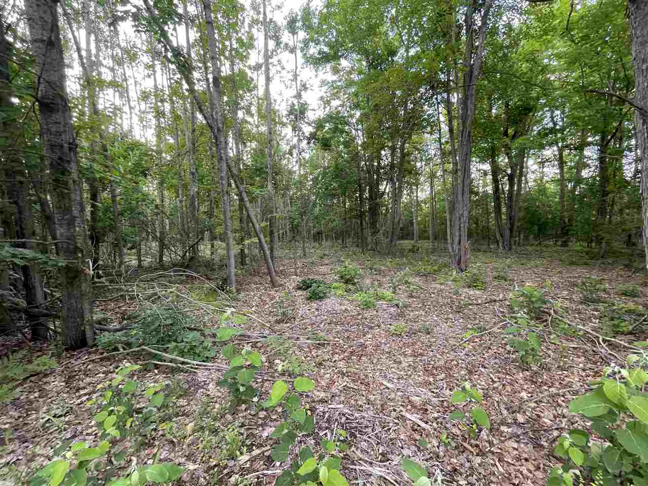 6170 Lambert Drive Alanson MI 49706