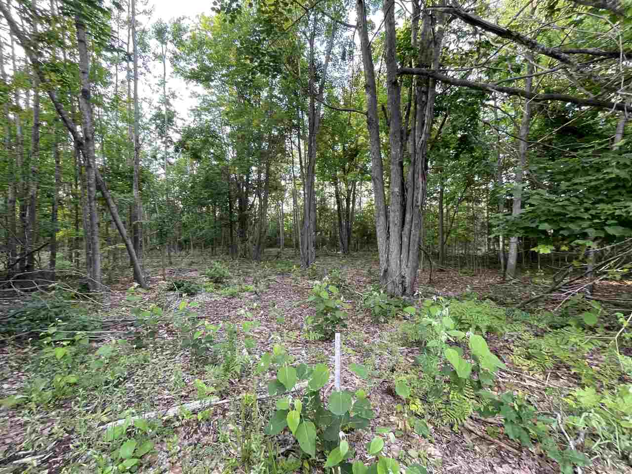 6170 Lambert Drive Alanson MI 49706