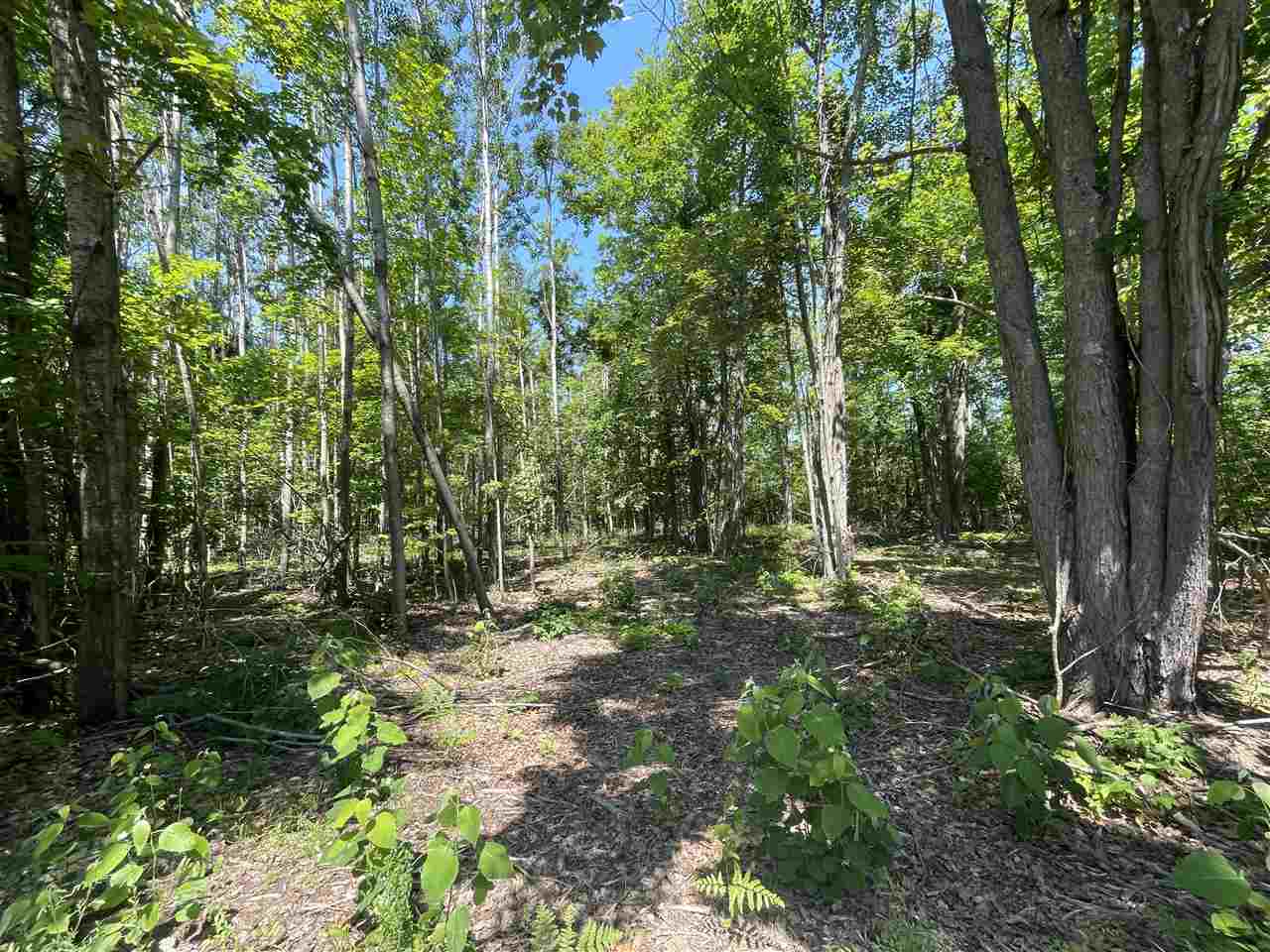 6170 Lambert Drive Alanson MI 49706