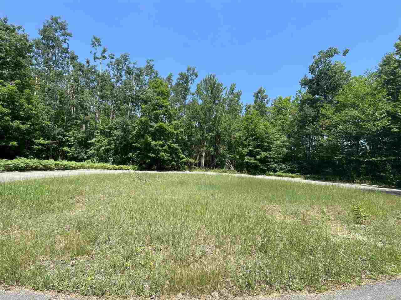 6170 Lambert Drive Alanson MI 49706