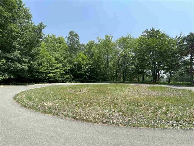 6170 Lambert Drive Alanson MI 49706