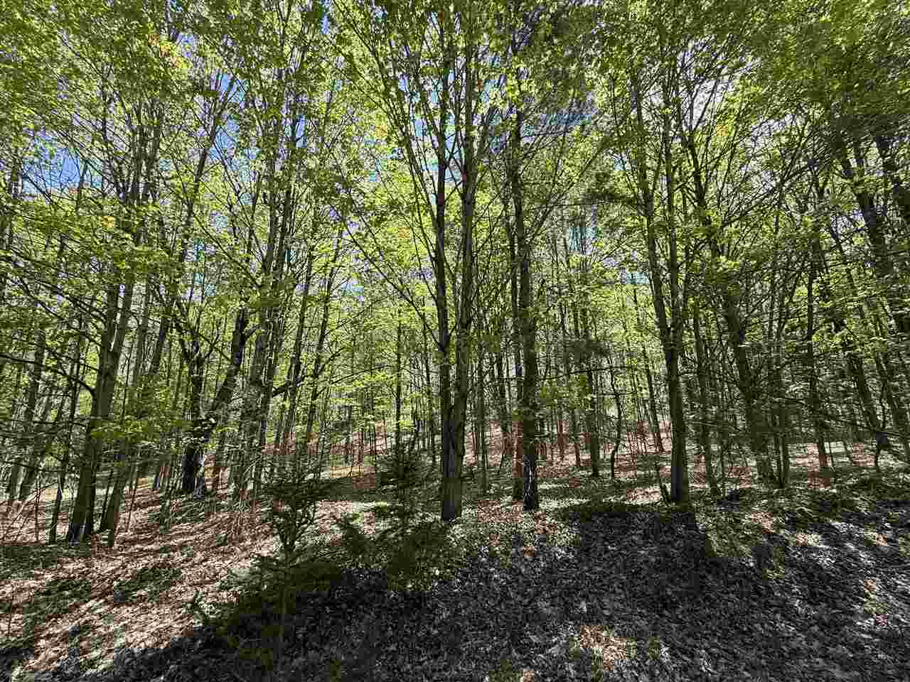 0 Coulter Creek Trail Central Lake MI 49622-0000