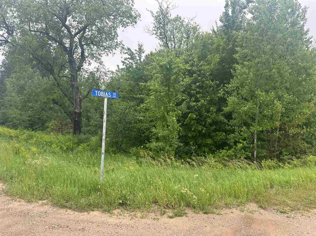 Parcel 1 Tobias Road Elmira MI 49730