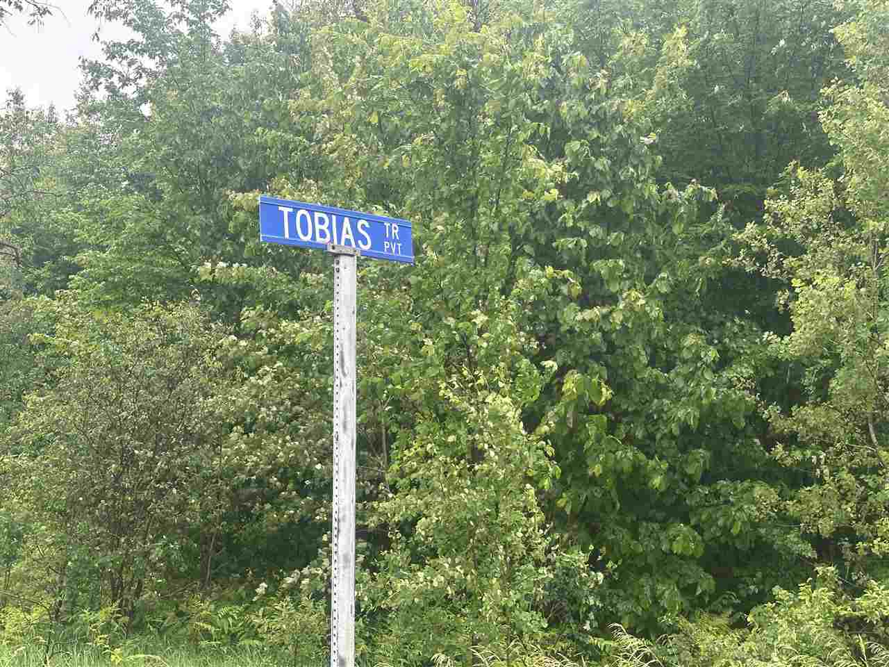 Parcel 1 Tobias Road Elmira MI 49730