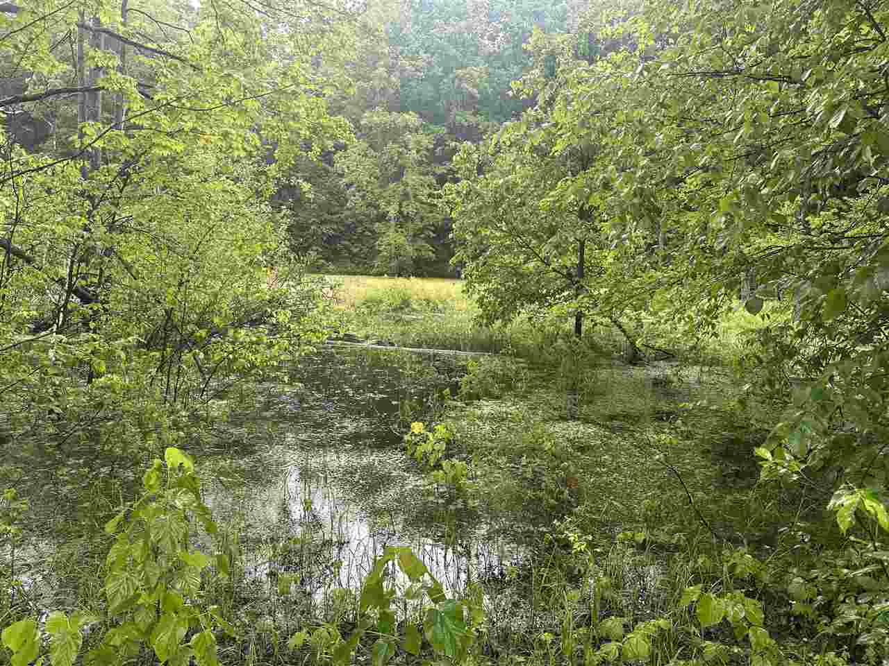 Parcel 1 Tobias Road Elmira MI 49730