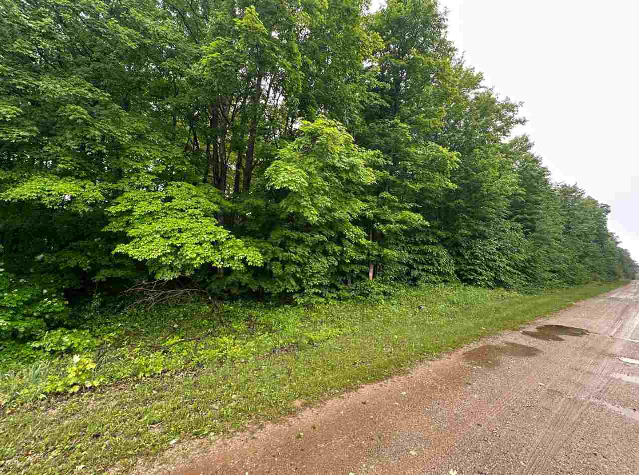 Parcel 1 Tobias Road Elmira MI 49730