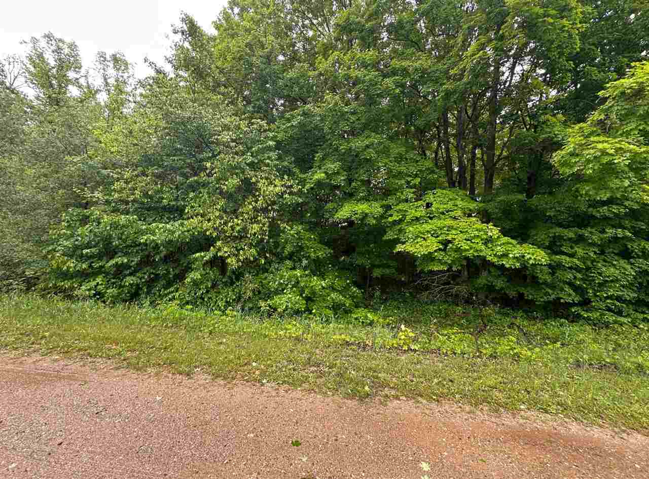 Parcel 1 Tobias Road Elmira MI 49730