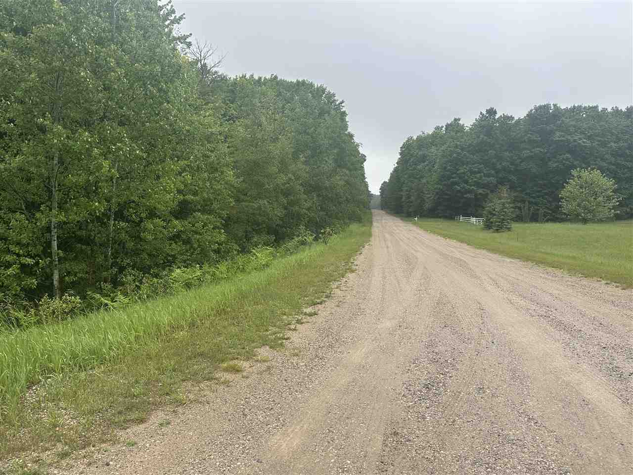 Parcel 1 Tobias Road Elmira MI 49730