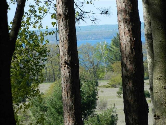 5765 Lodgepole Road Harbor Springs MI 49740