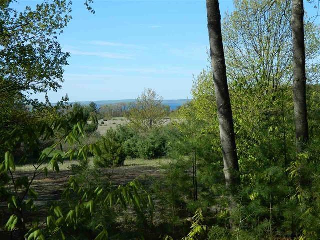 5765 Lodgepole Road Harbor Springs MI 49740