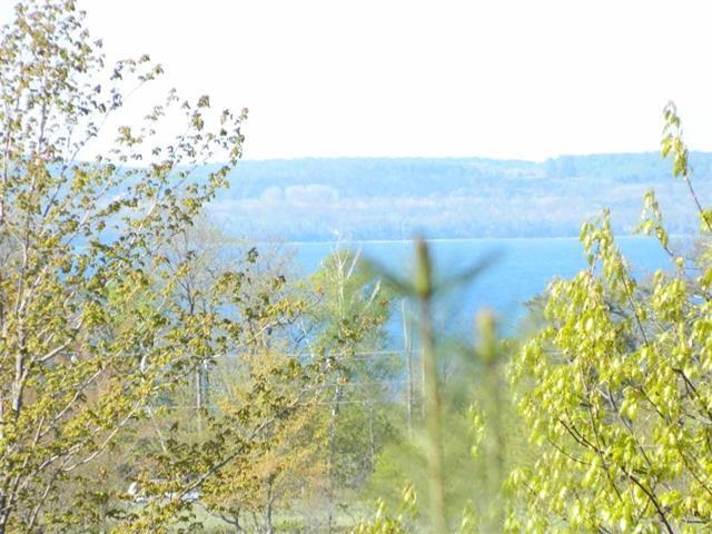 5765 Lodgepole Road Harbor Springs MI 49740