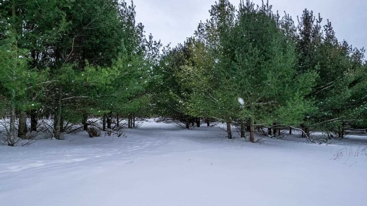 5765 Lodgepole Road Harbor Springs MI 49740