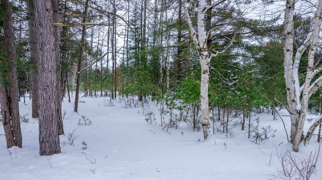 5765 Lodgepole Road Harbor Springs MI 49740