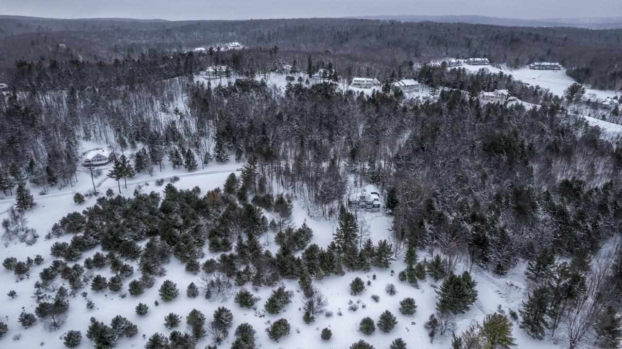 5765 Lodgepole Road Harbor Springs MI 49740