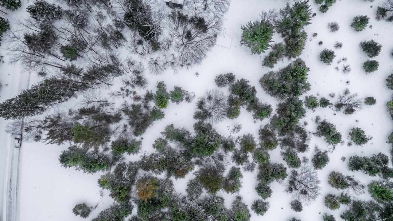 5765 Lodgepole Road Harbor Springs MI 49740