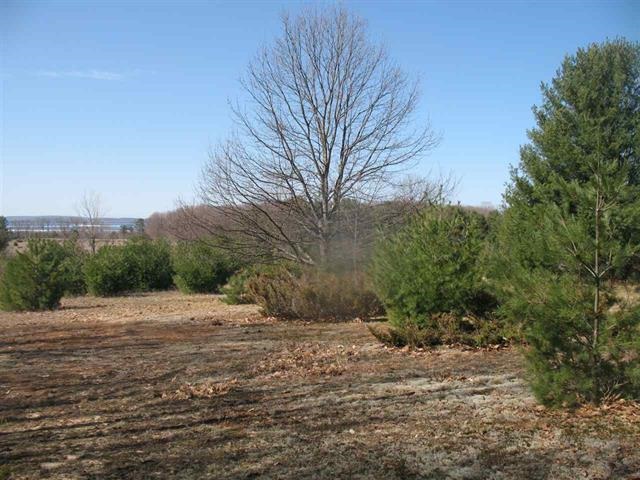 5765 Lodgepole Road Harbor Springs MI 49740