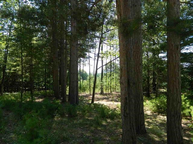 5765 Lodgepole Road Harbor Springs MI 49740