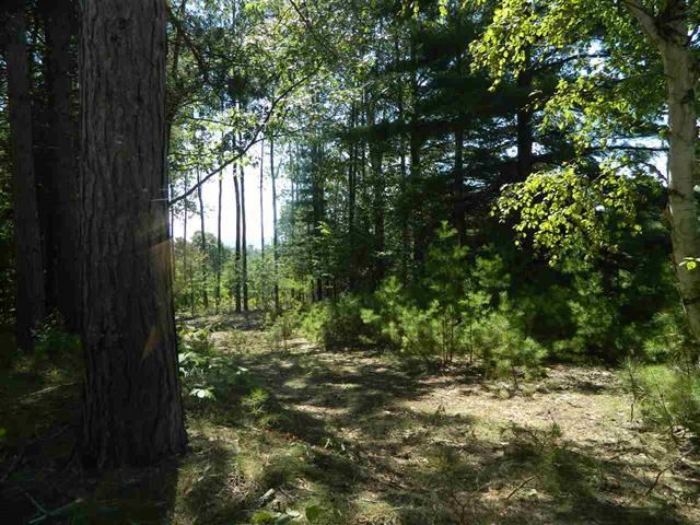 5765 Lodgepole Road Harbor Springs MI 49740