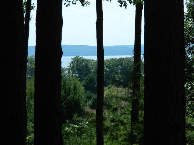 5765 Lodgepole Road Harbor Springs MI 49740