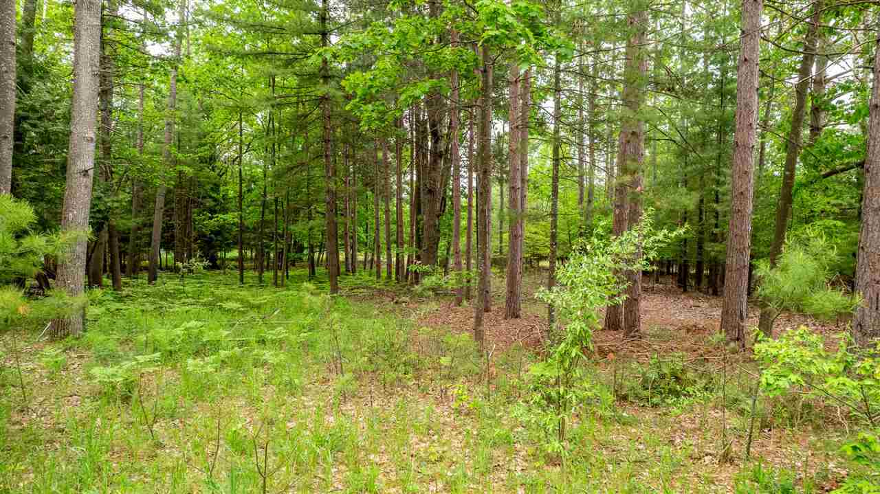 5765 Lodgepole Road Harbor Springs MI 49740