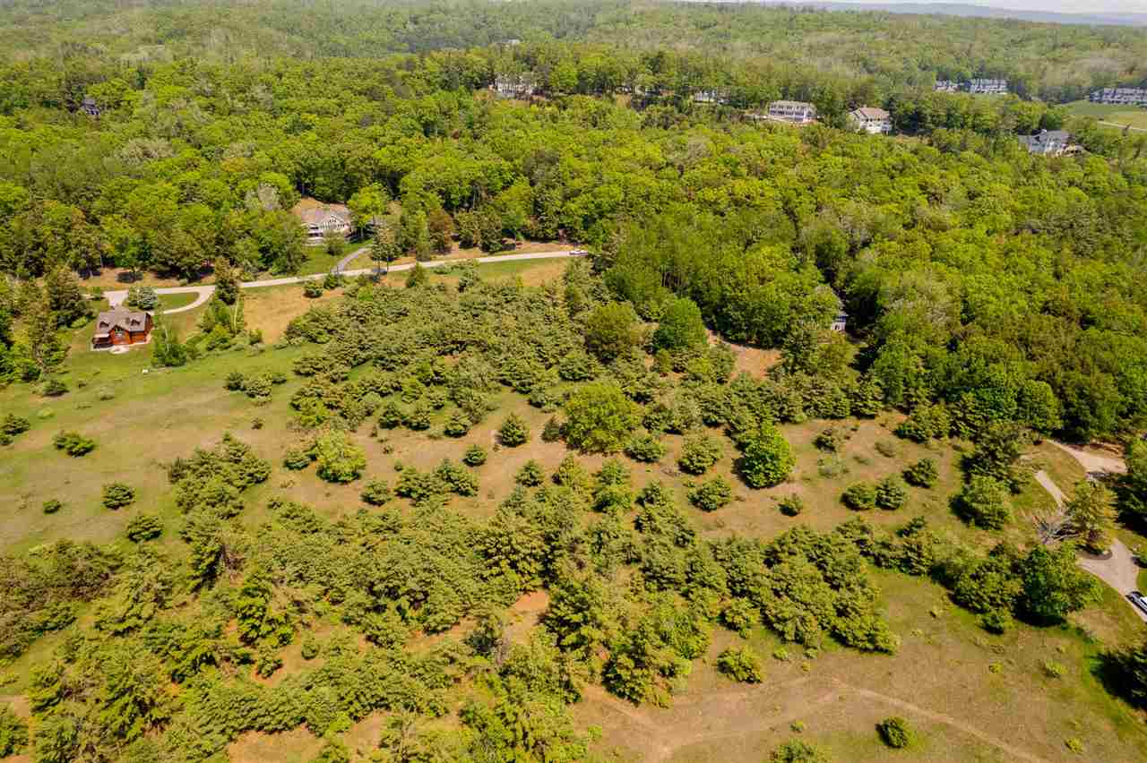 5765 Lodgepole Road Harbor Springs MI 49740